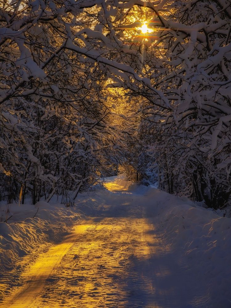 Photograph by Александр Державин