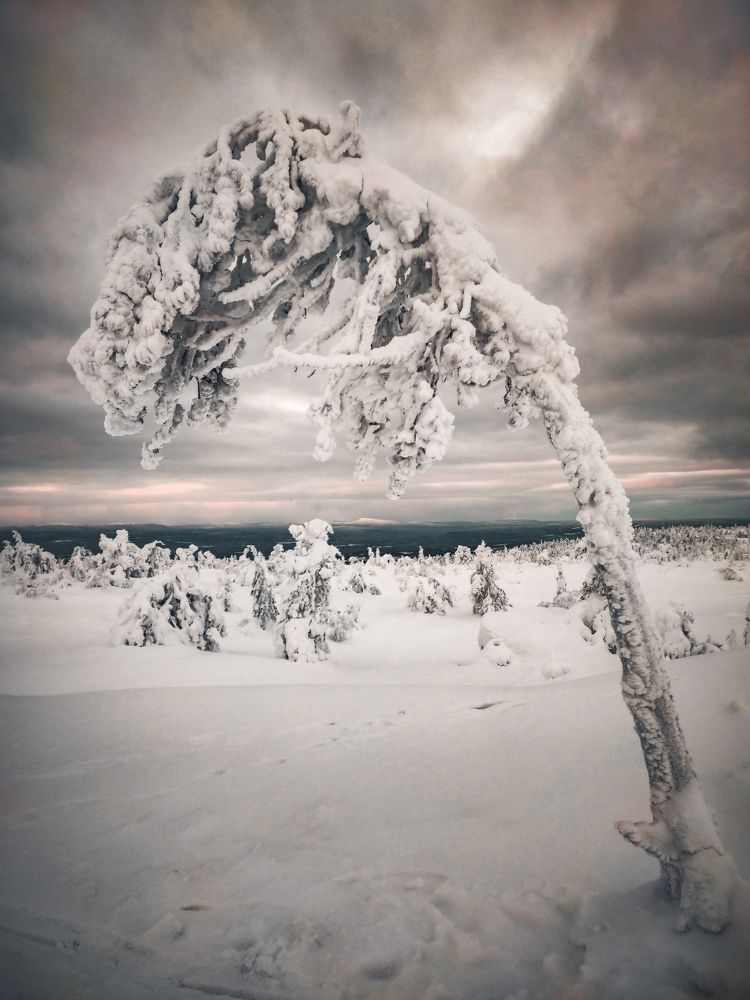 Photograph by Александр Державин