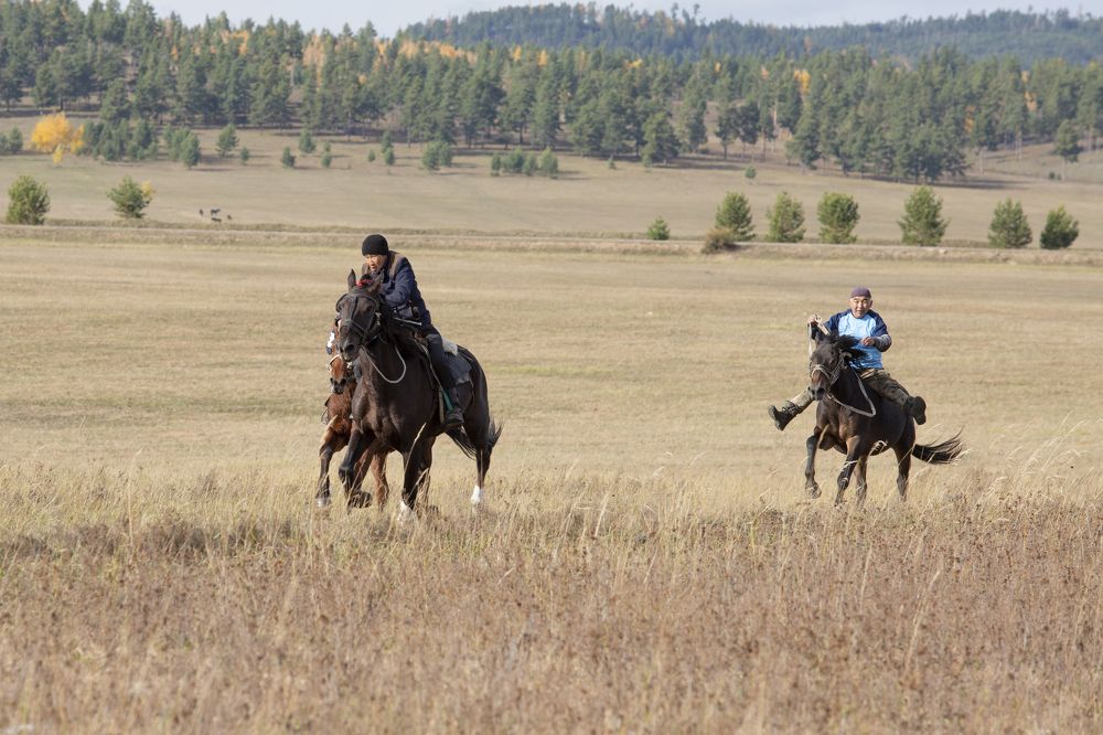 Фотография автора Светлана Барнадаева