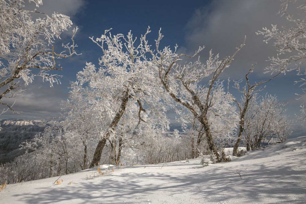 Photograph by Артем Удодов
