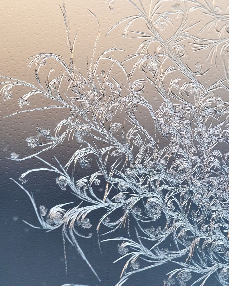 Photograph by Mikhail Kirillov