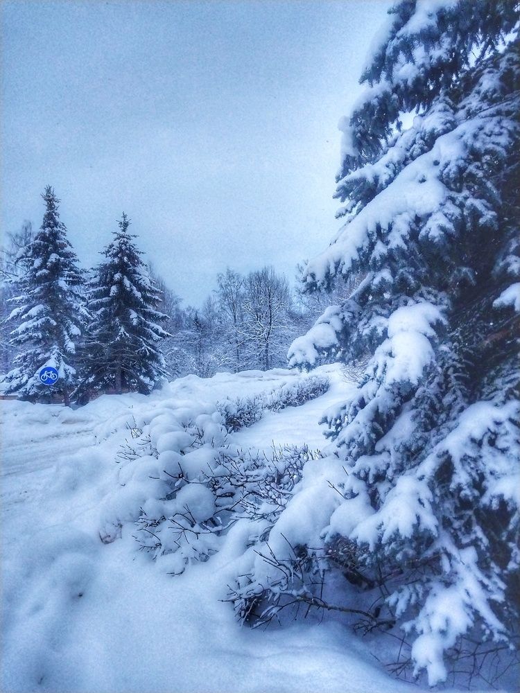 Photograph by Анна Авилочкина