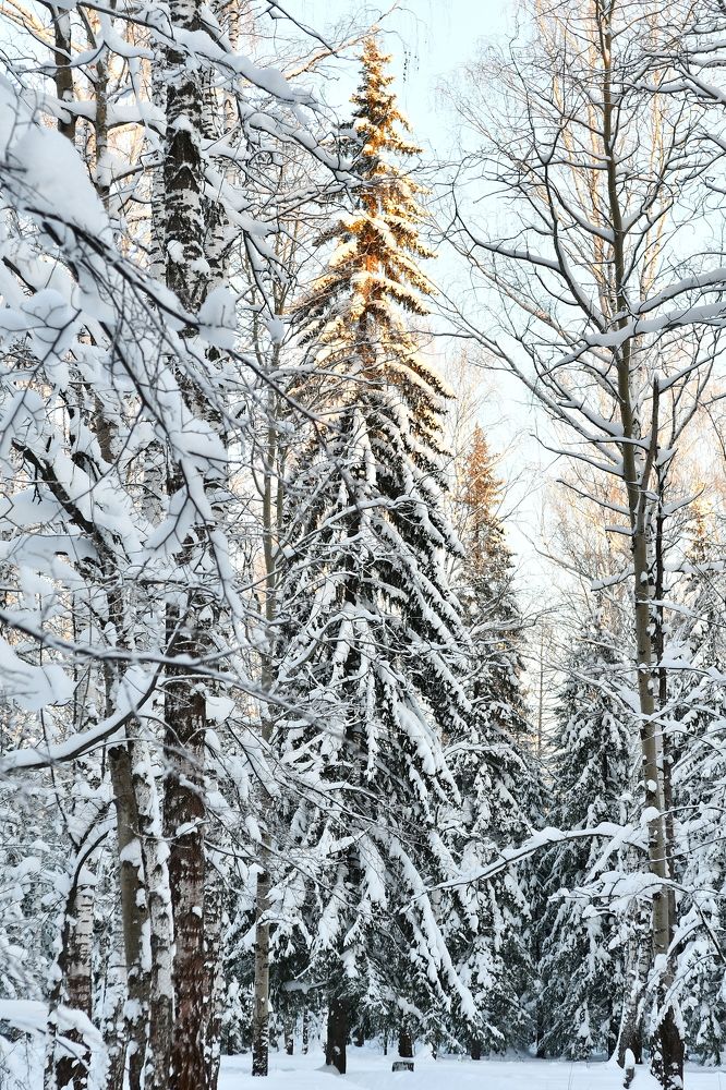 Photograph by Дмитрий Чемоданов