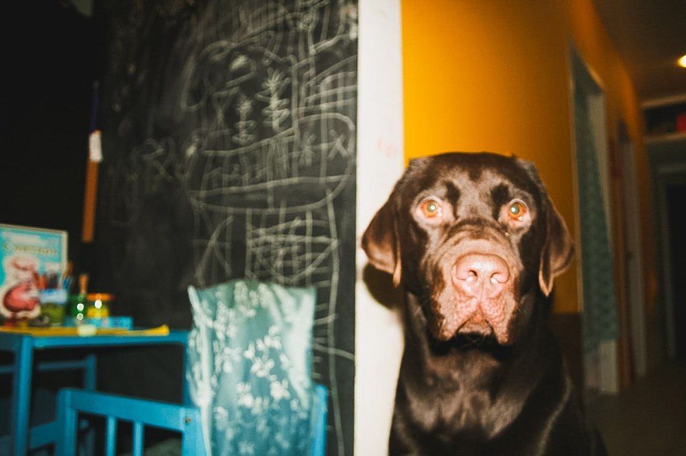 Photograph by Марианна Чайка