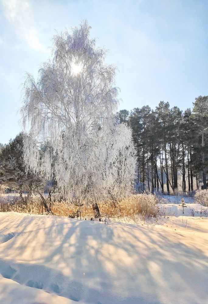 Photograph by Николай Захаров