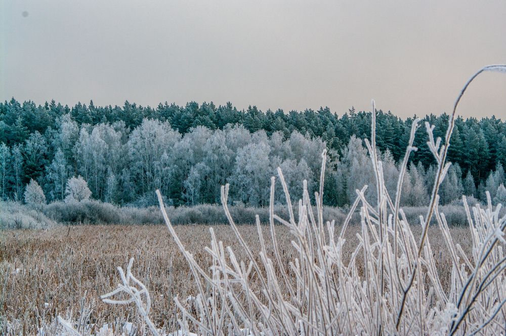 Photograph by Николай Захаров