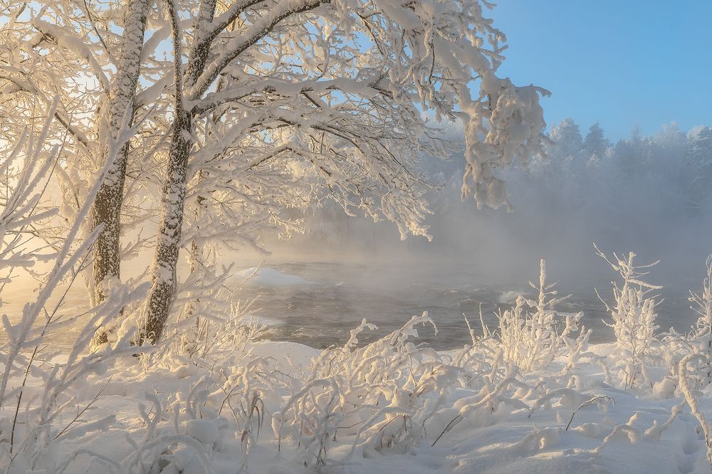 Photograph by Александр Пашеничев