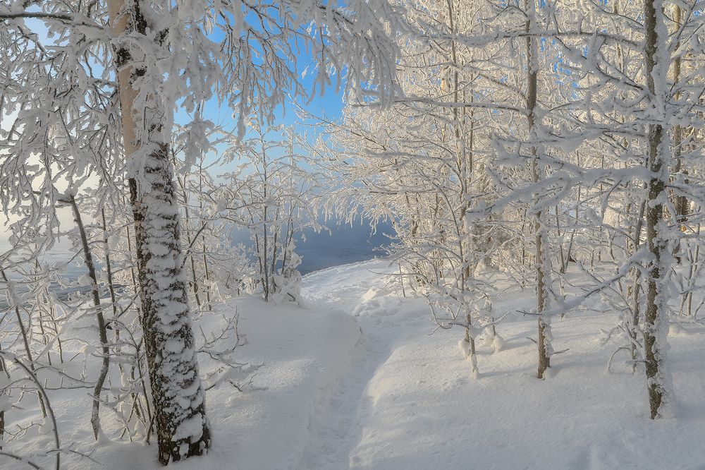 Фотография автора Александр Пашеничев