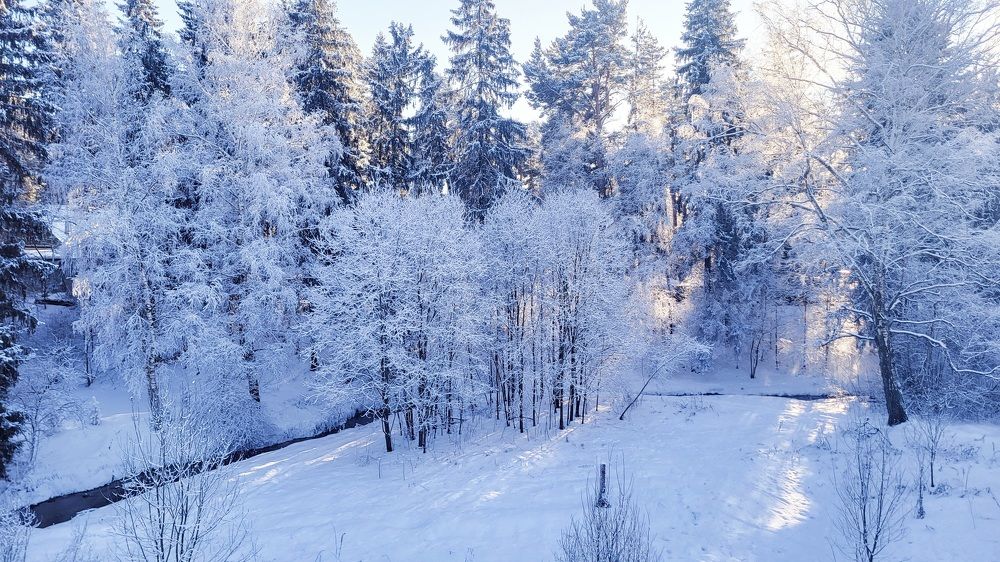 Photograph by Елена Маршавина