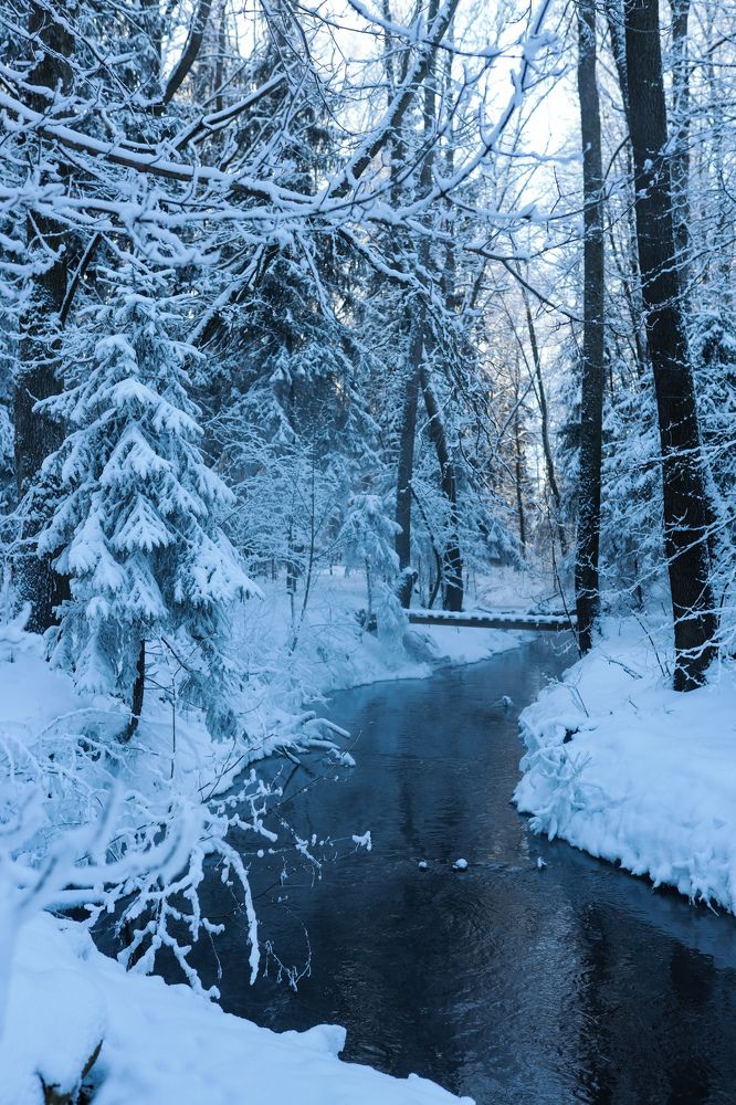 Photograph by Елена Маршавина