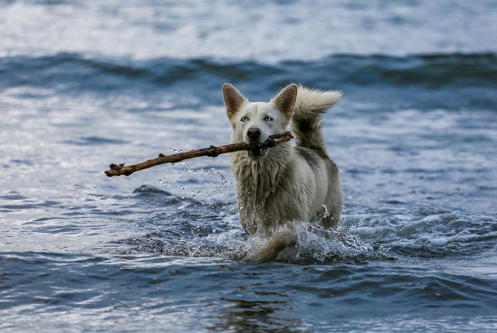 Photograph by IrenRRR