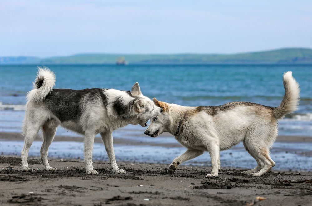 Photograph by IrenRRR