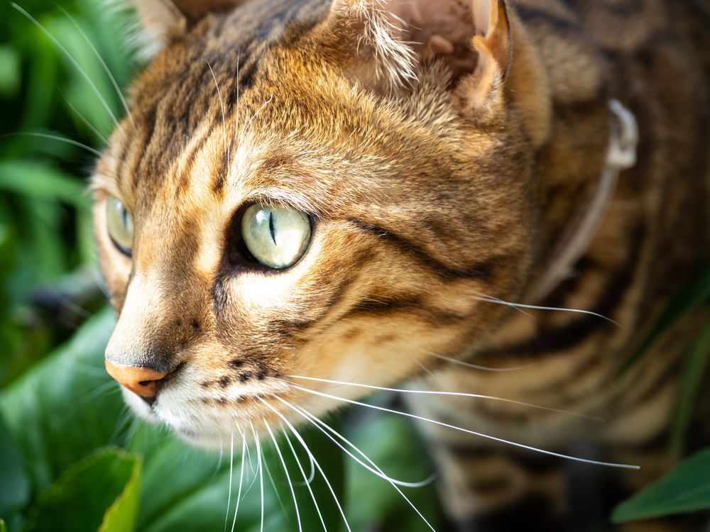 Photograph by Anna Ponomarenko