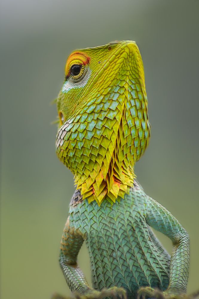 Photograph by Kasun Wickramasinghe