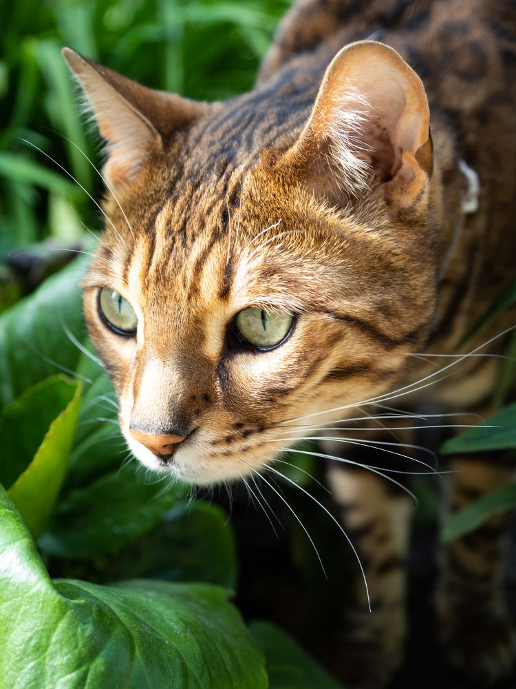 Photograph by Anna Ponomarenko