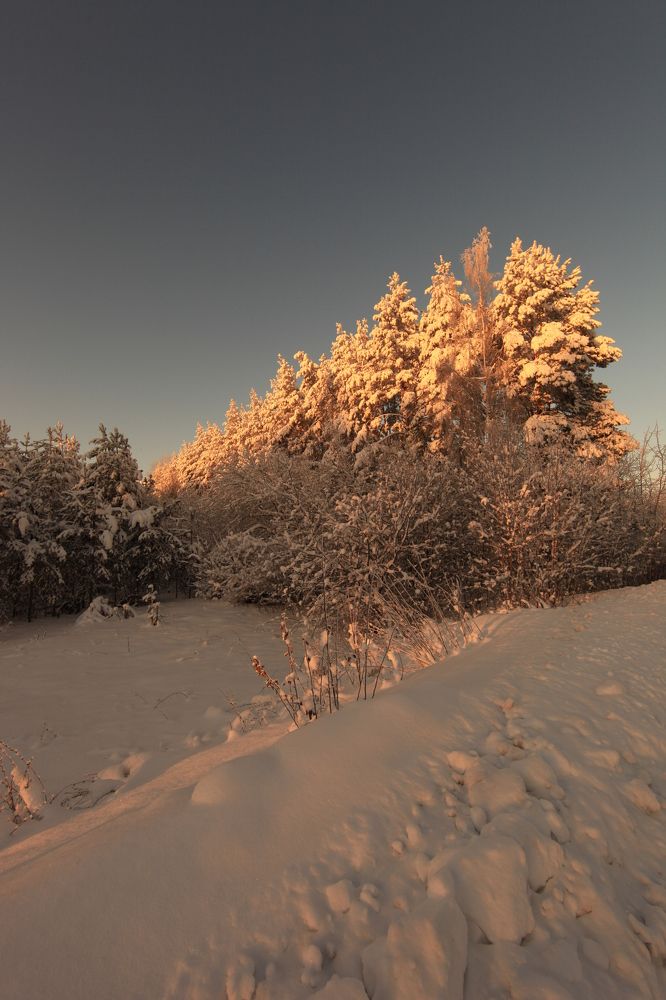 Photograph by Владимир Ясюкевич