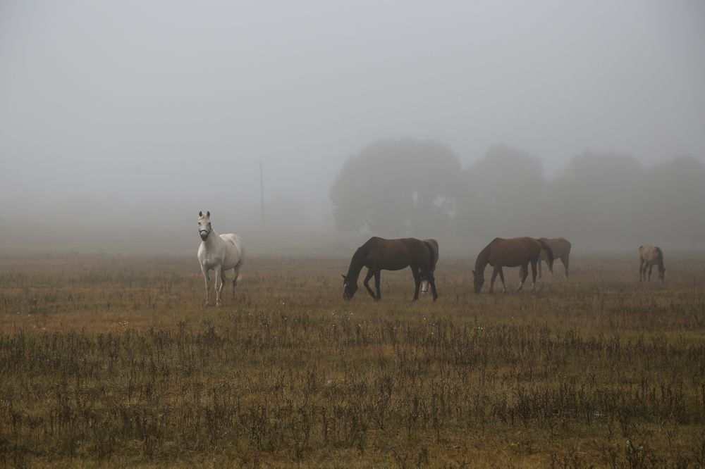 Photograph by Кирилл Бегларян