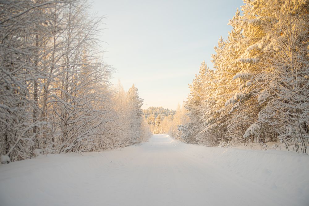 Photograph by Ксения Рябухина