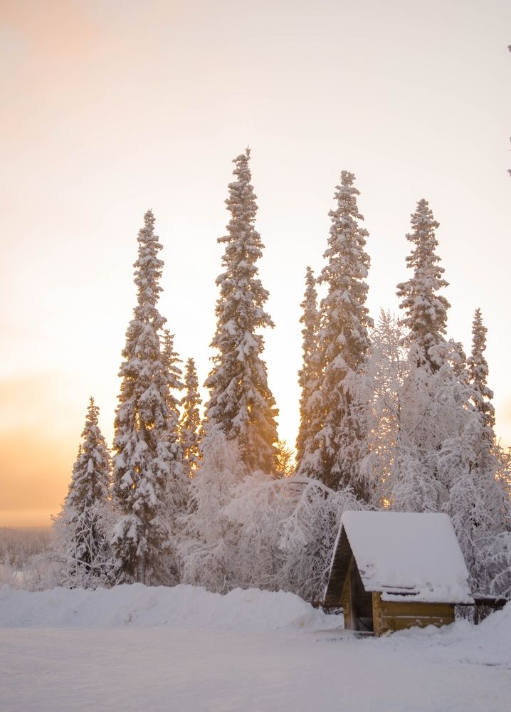 Photograph by Ксения Рябухина