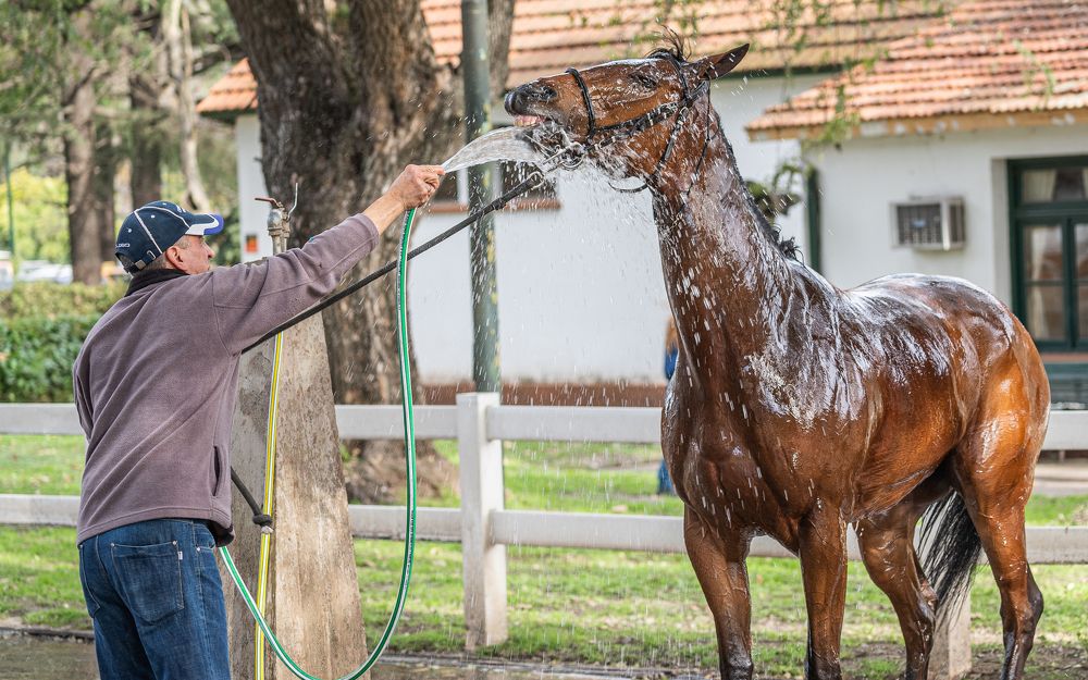 Фотография автора Carlos Gianoli