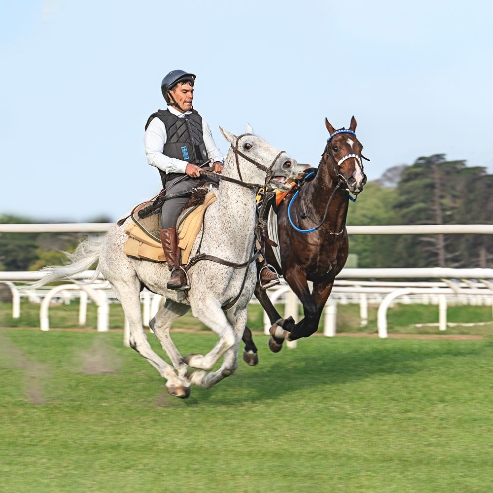 Фотография автора Carlos Gianoli