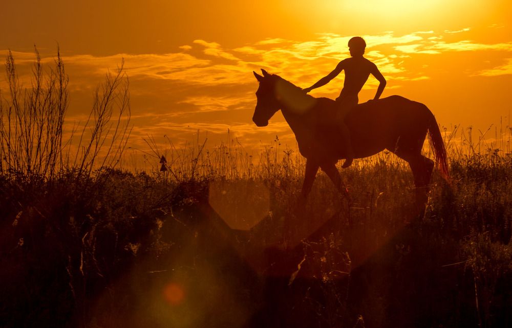 Photograph by Elena  Ovsyankina