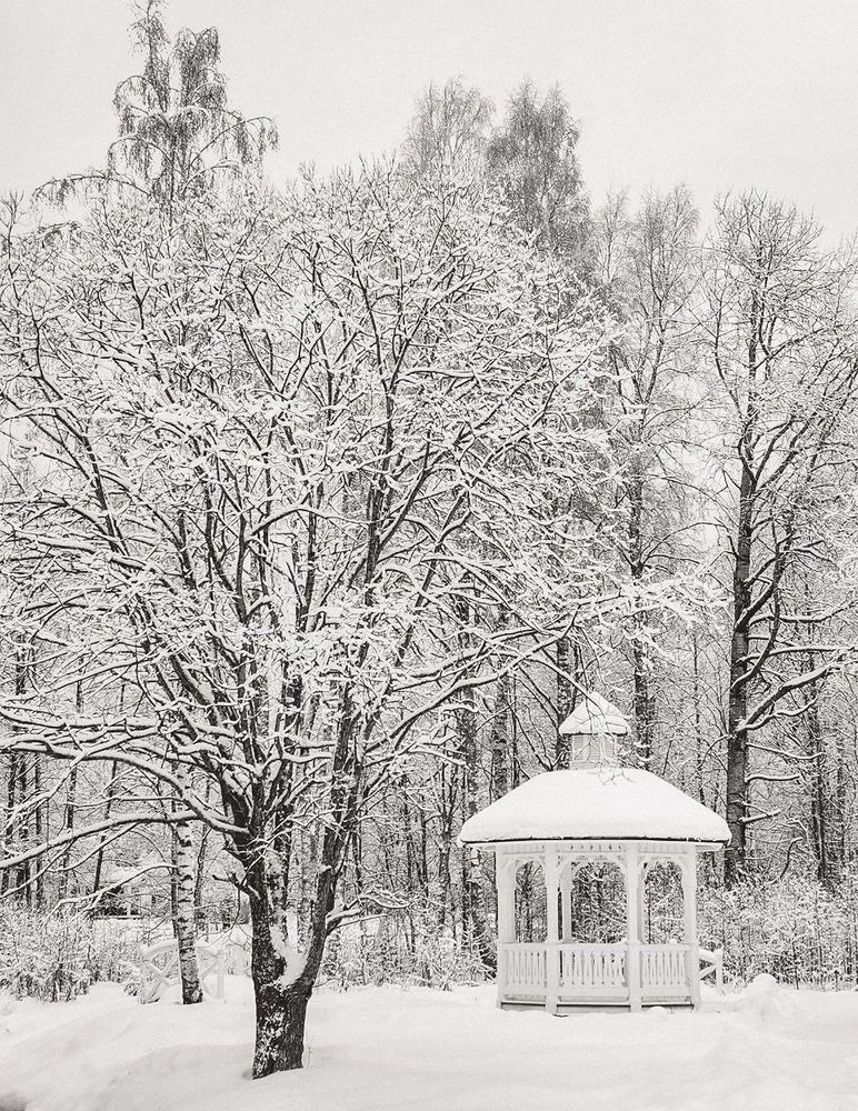 Photograph by Inna Iudina