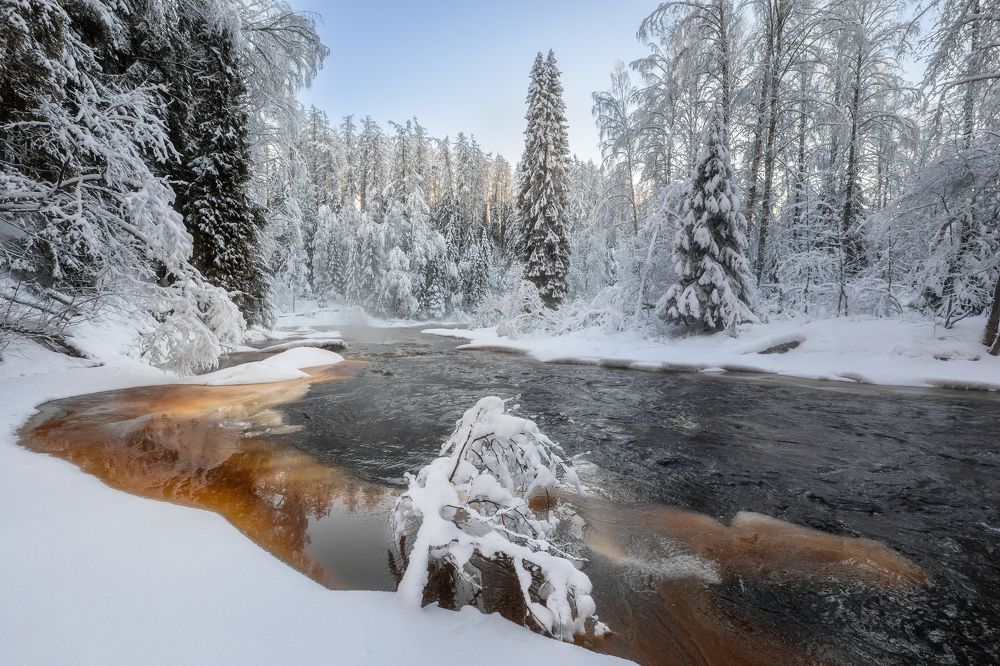 Photograph by Александр Пашеничев