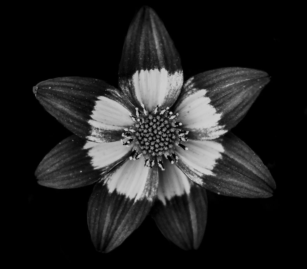 Фотография автора Kaspi