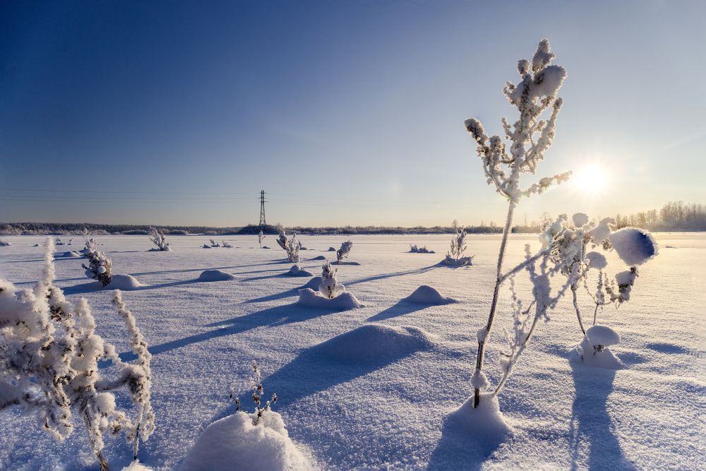 Photograph by Николай Рымар