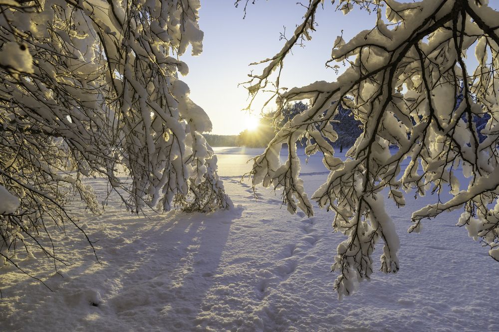 Photograph by Николай Рымар