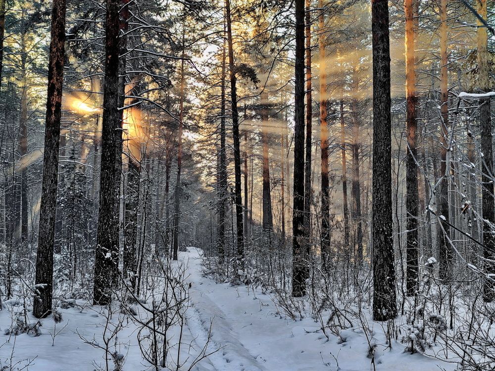 Photograph by Кузнецов Дмитрий