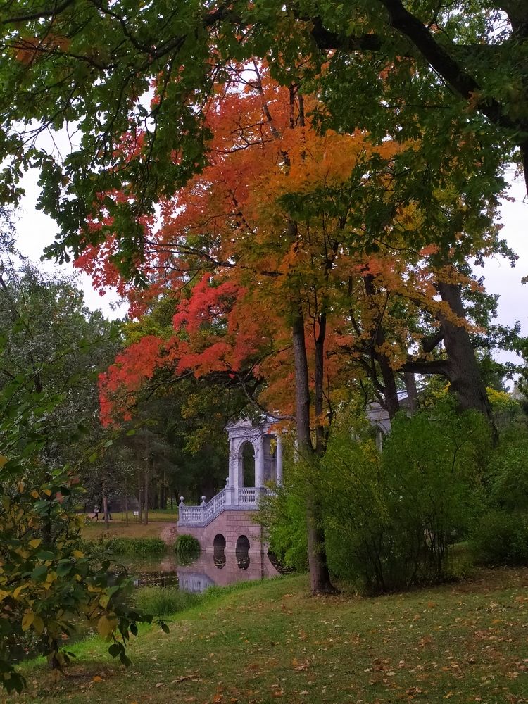 Фотография автора Анастасия Демина