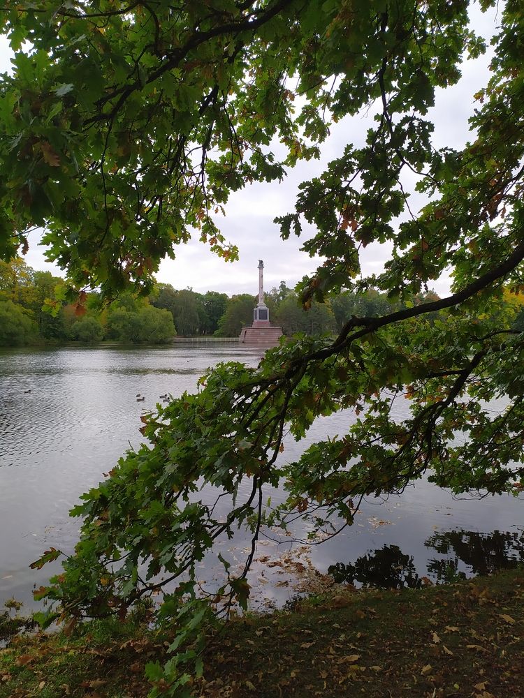 Фотография автора Анастасия Демина