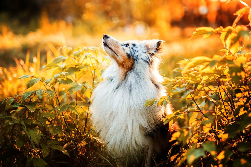 Photograph by Людмила Манохина