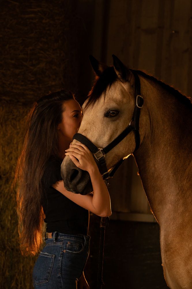 Фотография автора Talal Abodeshish