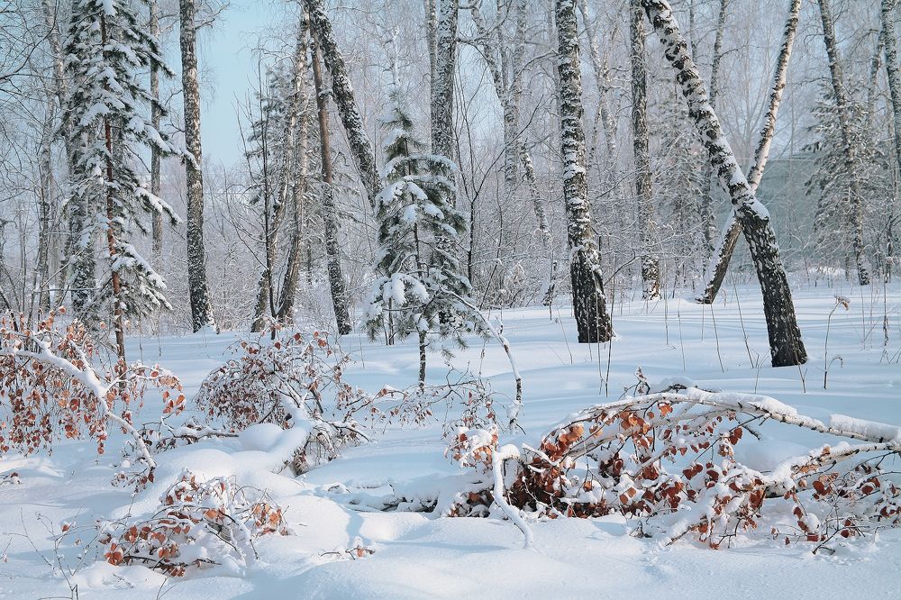 Photograph by Сергей Черных