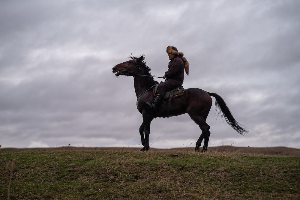 Photograph by Арсен Алабердов