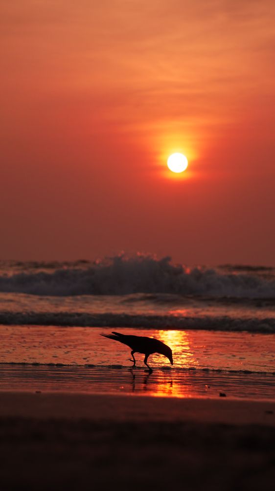 Photograph by Kunal Ingle