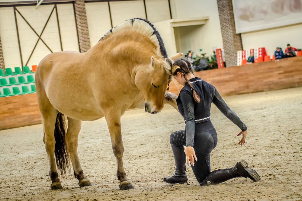 Голова к голове/head to head/tête à tête