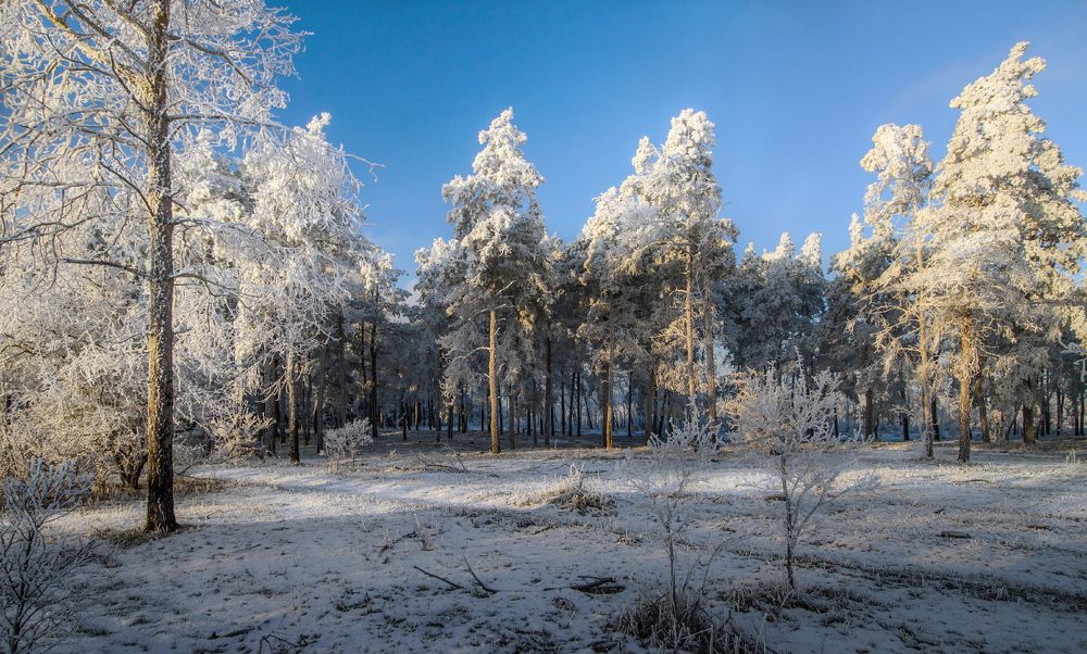 Photograph by Александр Белянский