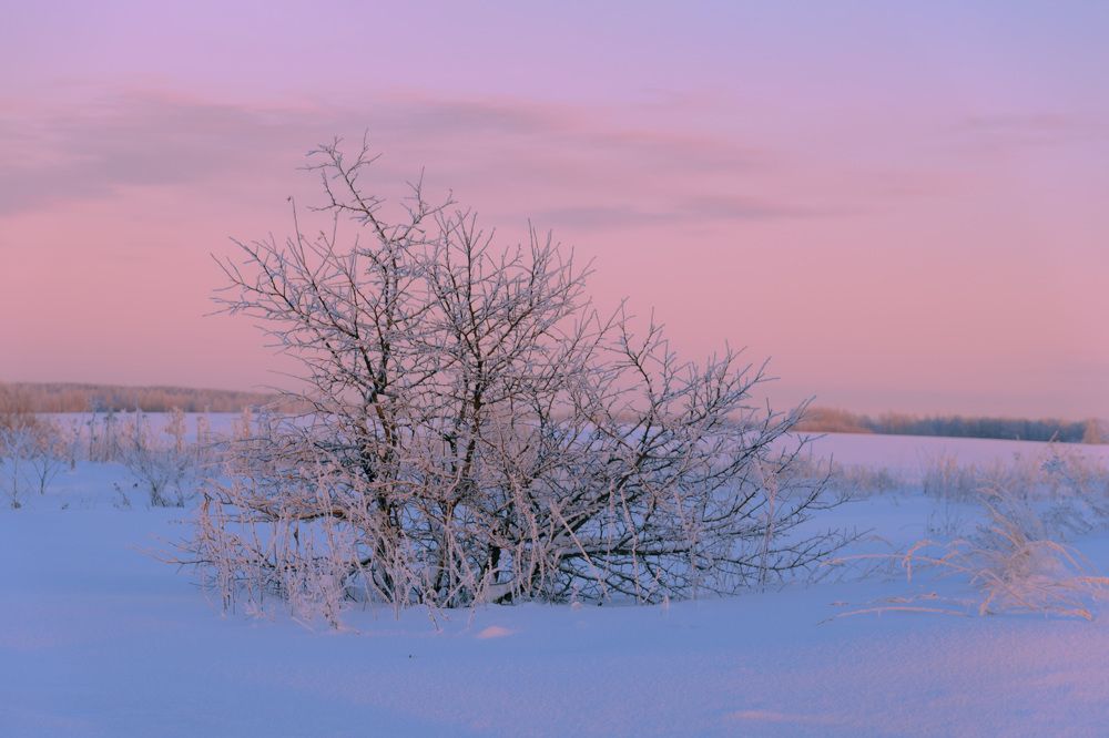 Photograph by Елена Ефимова