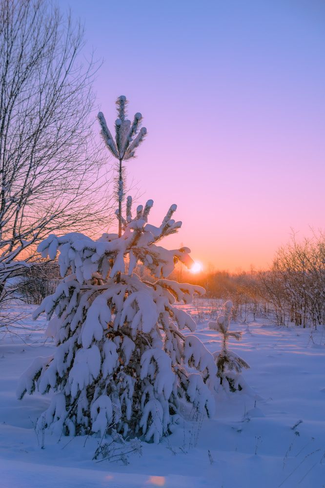 Photograph by Елена Ефимова