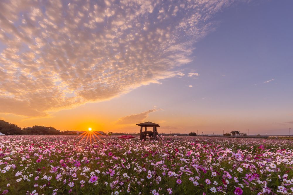 Фотография автора NGUYEN XUAN BAC