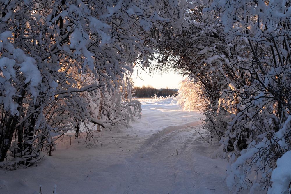 Photograph by Каролина