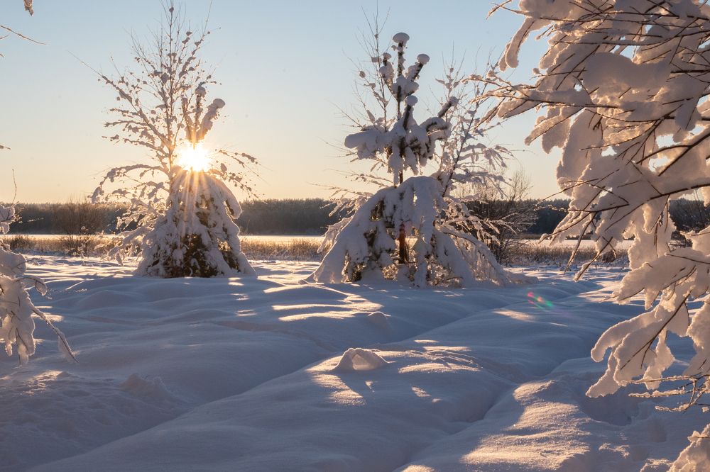 Photograph by Каролина