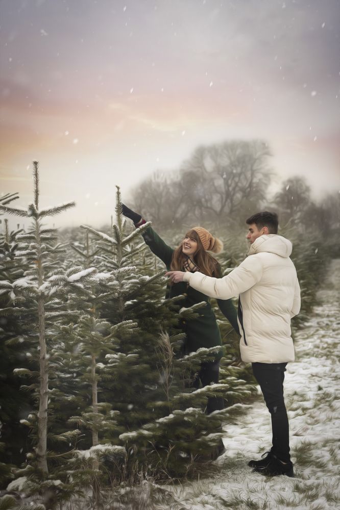 Into the christmas tree farm