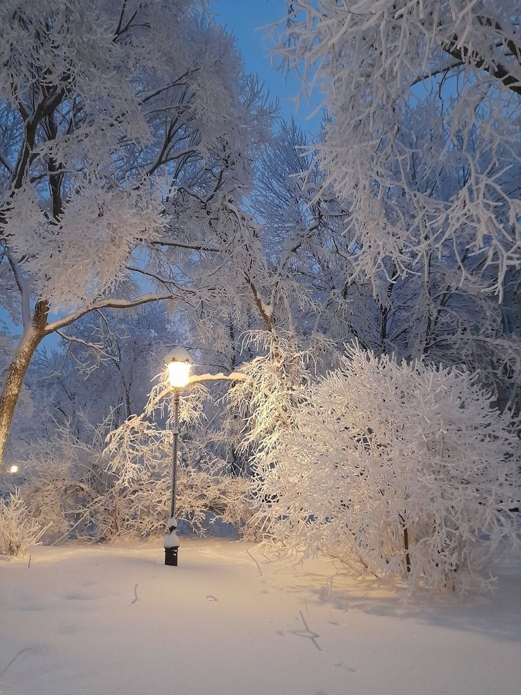 Photograph by Елена Малкова