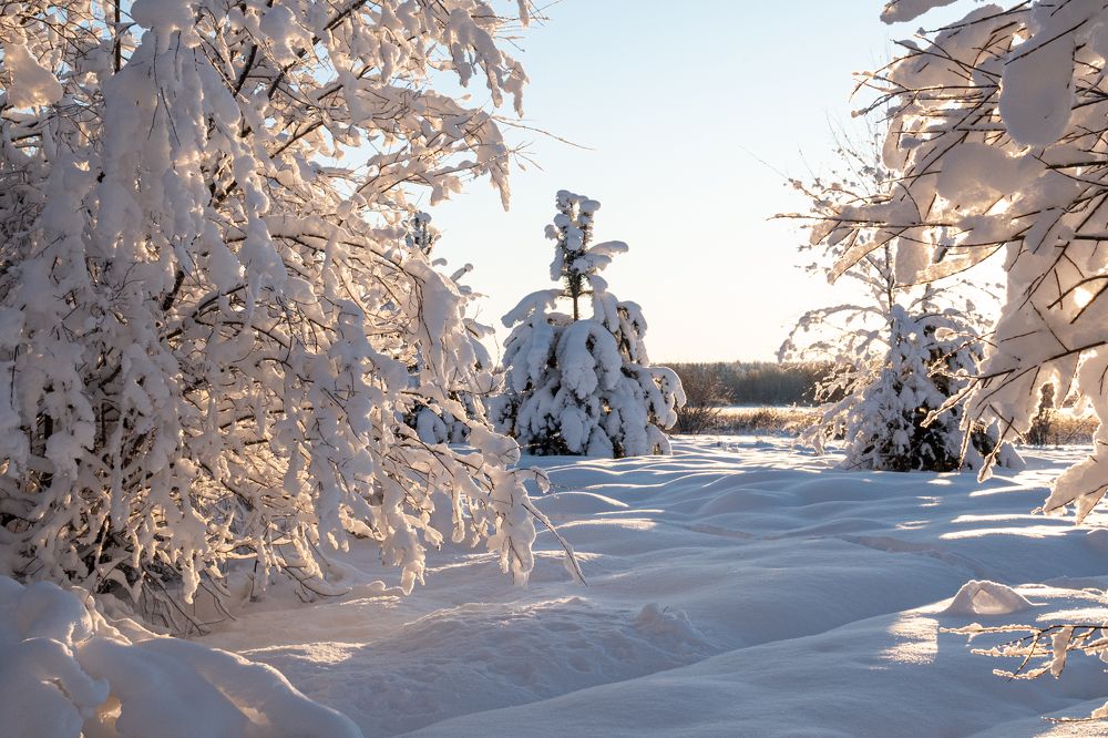 Photograph by Каролина