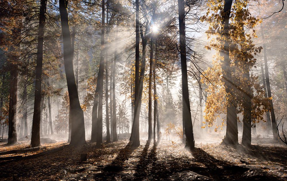 Photograph by suk eun kim